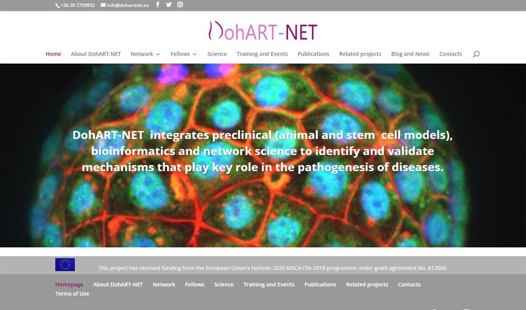 DohART-NET